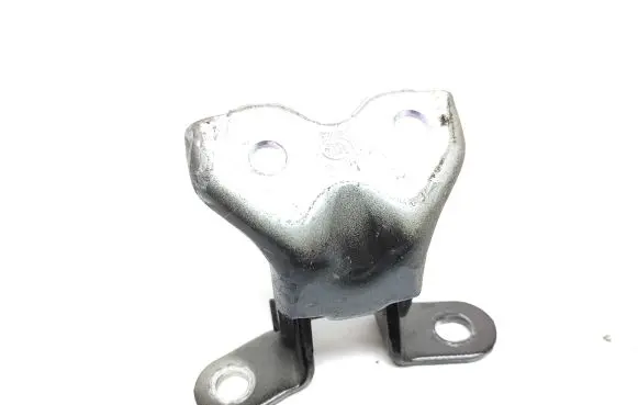 KIA Rio Front door lower hinge 
