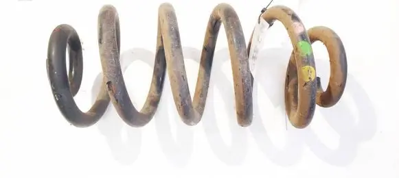 Rear coil spring