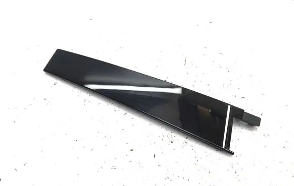Chery 7 Rear door trim (molding) 551001455AA
