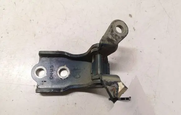 Chevrolet Captiva Front door lower hinge 06H25