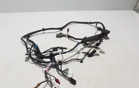 Tesla Model X Other wiring loom 103243200G