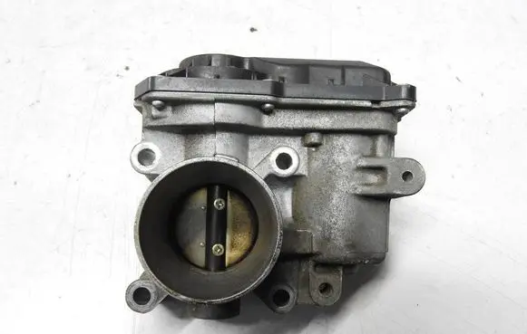 Throttle body valve