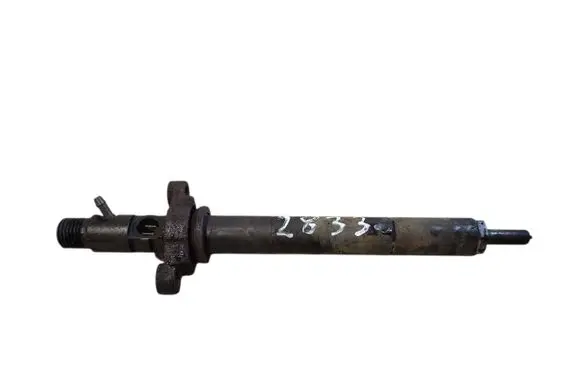 Citroen C5 Fuel injector 9656389980