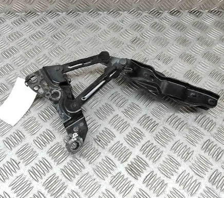 Tesla Model X Engine bonnet/hood hinges 105804200B