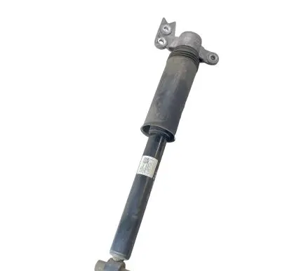 Chevrolet Equinox Rear shock absorber/damper 84912412