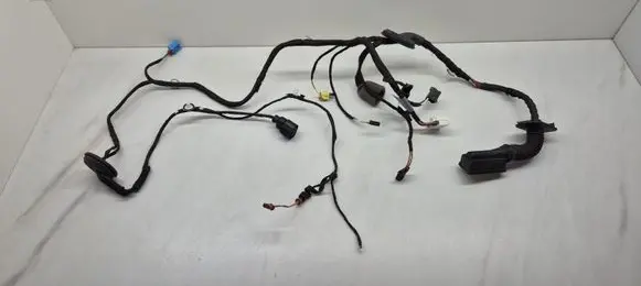 Audi Q5 SQ5 Front door wiring loom 80A971029AE