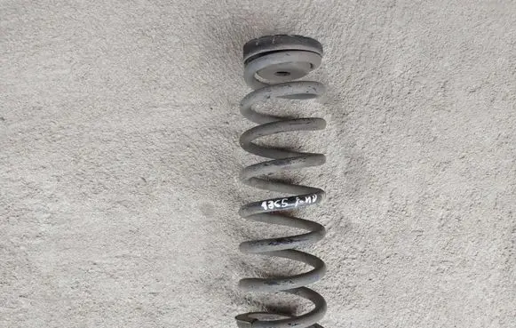 Rear coil spring