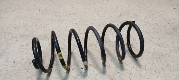 Rear coil spring