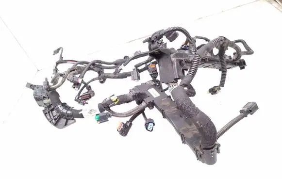 Engine installation wiring loom