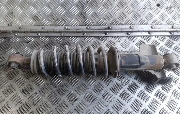 Rear shock absorber/damper