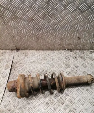 Volkswagen PASSAT B5.5 Rear shock absorber with coil spring 