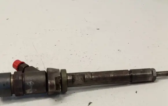 Ford Focus Fuel injector 0445110239