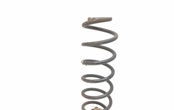 Rear coil spring