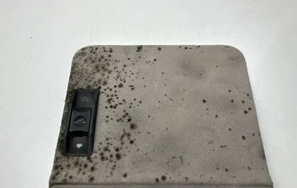 BMW 5 E34 Headlining roof cover 8150974
