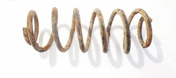 Rear coil spring