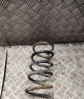 Rear coil spring
