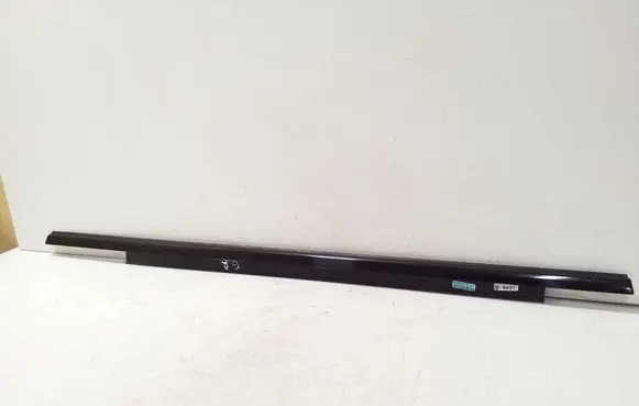 Rear door glass trim molding