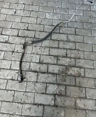 Citroen Jumper Power steering hose/pipe/line 