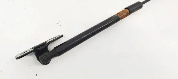 Tesla Model 3 Front bonnet/hood damper/strut 164598900A
