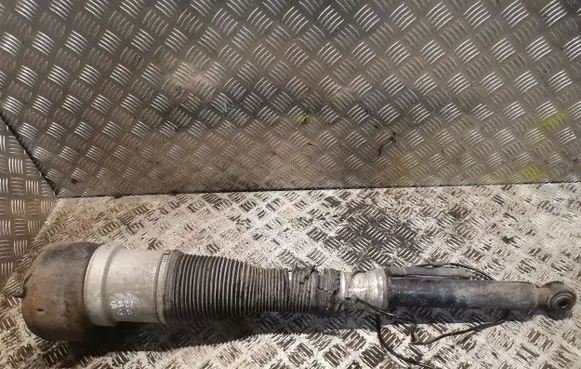 Mercedes-Benz S W221 Rear shock absorber/damper 2213205613 A2213205613