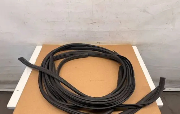 Dacia Spring Front door rubber seal SPRUSZCZ2