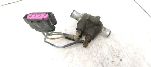 Renault Laguna III Coolant heater 