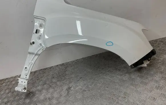 Dacia Duster II Fender 