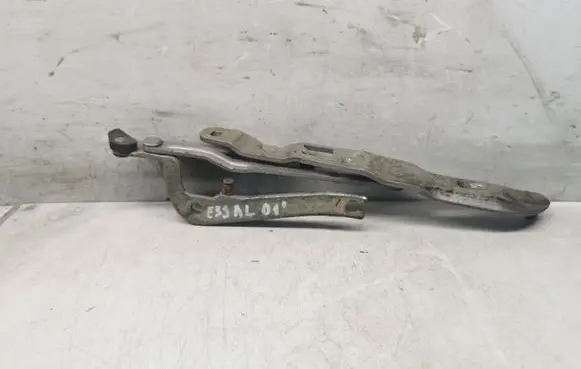 BMW 5 E39 Tailgate/trunk/boot hinge