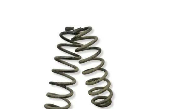 Toyota RAV 4 (XA50) Rear coil spring 