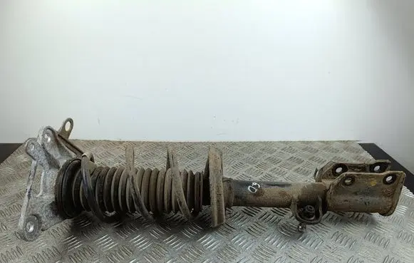Jeep Compass Rear shock absorber with coil spring 