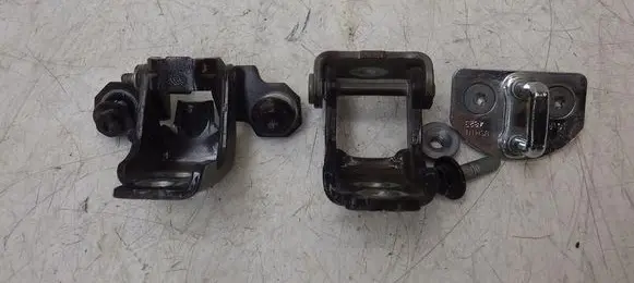 Renault Megane III Rear door hinge set 