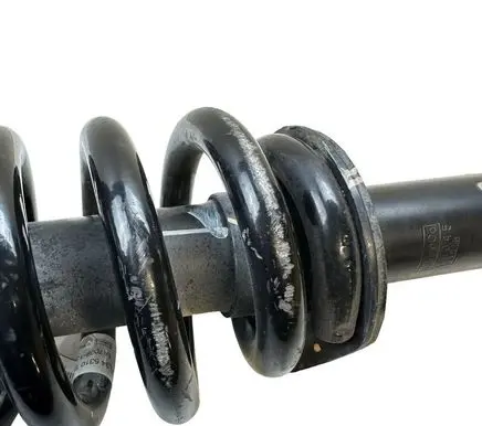 Ford F150 Front shock absorber with coil spring GL3418045