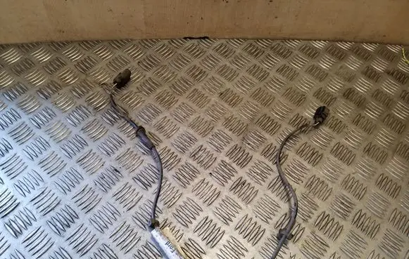 Other wiring loom
