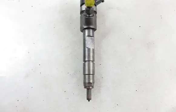 Suzuki Grand Vitara II Fuel injector 8200389369 0445110230