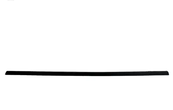 Renault Scenic II - Grand scenic II Rear door glass trim molding