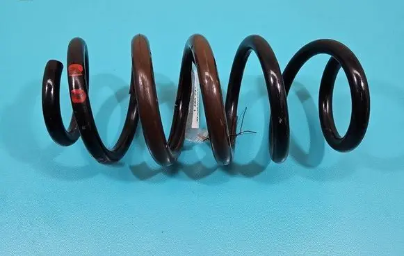 Rear coil spring
