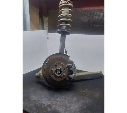 Fiat X1 - 9 Rear wheel hub spindle/knuckle
