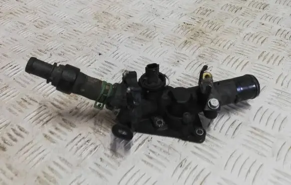 Thermostat/thermostat housing