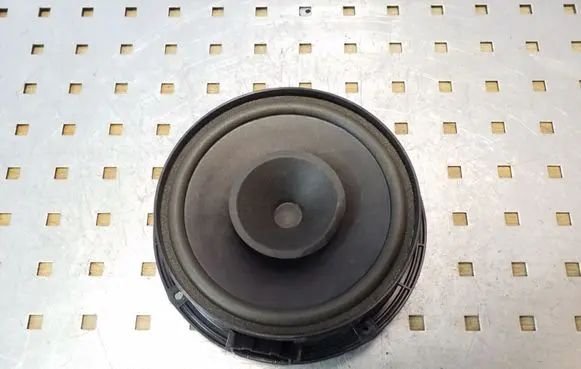 Rear door speaker