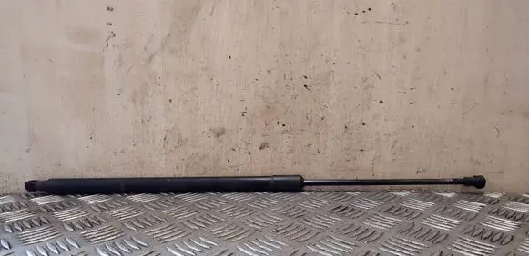 Tailgate strut