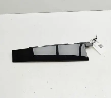 Ford Mustang Mach-E Rear door glass trim molding LJ8BR254A41ABW