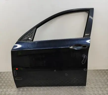 BMW X6 E71 Front door 7198159