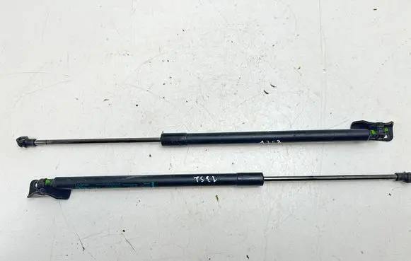 Tailgate/trunk strut/damper