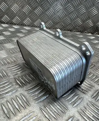 Mercedes-Benz S C217 Engine oil radiator A1331880001