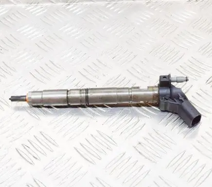 Porsche Cayenne (9Y0 9Y3) Fuel injector 0445117 057130