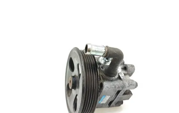 Suzuki Grand Vitara II Power steering pump 4910065J00