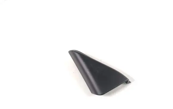 Other front door trim element