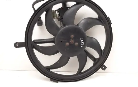 Mini One - Cooper Clubman R55 Electric radiator cooling fan 1639610QAE1 1742275263204 H3319005