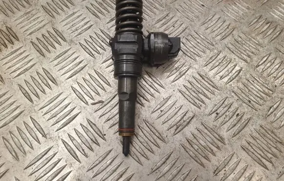 Seat Alhambra (Mk1) Fuel injector 038130073AK