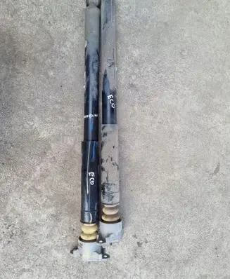 Ford Ecosport Rear shock absorber/damper
